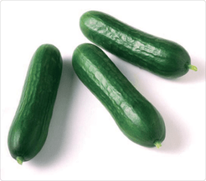 222_tomates_et_concombres2-b